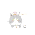 専用ページ