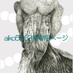こちらは【aiko5963様専用ページ】になります。