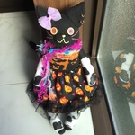 ソックキャット ☆ マジカル猫ちゃん
