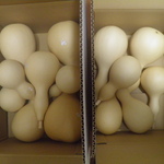 bunbun383様専用　乾燥ひょうたんセット2