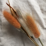 スワッグ☆07☆ラグラス(White&Orange)