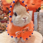 うさぎ☆うさポンチョ♡ハロウィン＊オレンジ♡