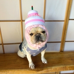 【クリアランス】ケーキ犬ヅラ