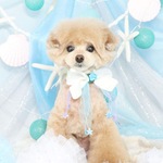 shadow2020様専用オーダー