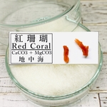 ✴︎No.395✴︎希少✴︎鉱物標本✴︎ 地中海産 天然 レッドコーラルのピアス