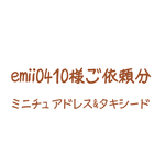 emii0410様ご依頼分【ミニチュアドレス&タキシード】