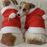 サンタ服  犬服   フルオーダー