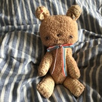タレ目のクマさん