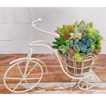 自転車　寄せ植え