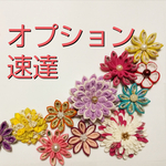オプション☆速達