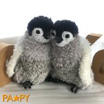 皇帝ペンギン・ヒナ友♪　あみぐるみ