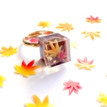 -秋の喫茶店- もみじの羊羹リング