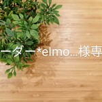 ＊オーダーelmo…さま専用＊