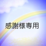 感謝様専用 レビュー割引