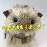 10/25 ハリネズミ#131【鼻・ベージュ】】【チャーム:リボン】