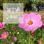 haruka 様♡専用