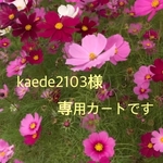 kaede2103様の専用カート　（チェコガラスボタンのブローチ　2点）