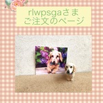 rlwpsga様ご注文品＊愛犬のオリジナルリングスタンド