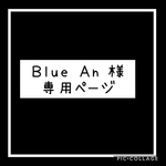 Ｂｌｕｅ Ａn 様 専用ページ
