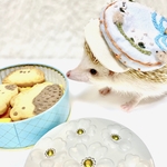お菓子屋さん風キャスケット帽🍪