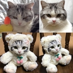 オーダーメイド　クマの着ぐるみ猫ちゃん　約20㎝　愛猫ちゃんのオーダー　羊毛フェルト　テディベア　テディキャット　ぬいぐるみ　