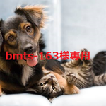bmts-163様専用