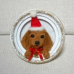 羊毛フェルト  犬  ミニチュアダックスフント  フレーム入り
