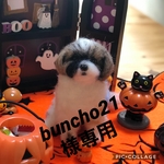 buncho21様専用ページです