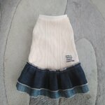 犬服！アランニット！デニムスカート