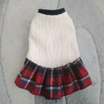 犬服！アランニット！チェックスカート