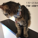 MILKキャンディの首輪🐮🍼❤︎15-23cm