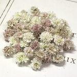 かすみ草　ドライフラワー　pink beige mix