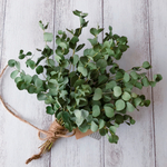 ユーカリ丸葉のミニドライフラワー