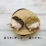 羊毛フェルト ハリケツ【脱走】マグネット