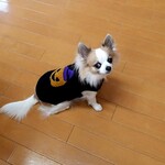 rice０２２４様専用ページ   ページ9
