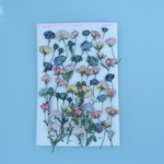 押し花ミニミニバラ50輪（訳あり）