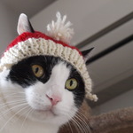 再再再再再再再販売クリスマスにゃんこ帽子Ｍサイズ　猫用手編みサンタ帽子★ねこニット帽