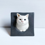 大きい鉢猫 - 白猫 -