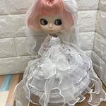 ブライスアウトフィット  ✨❣️新作(๑˃̵ᴗ˂̵)ドレス  ストール付き
