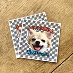 チワワの銀さん　おおきにステッカー2枚