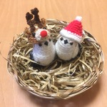 susan0902専用ページ♡インコちゃん用♡サンタ帽子&トナカイさん帽子