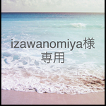 izawanomiya様専用