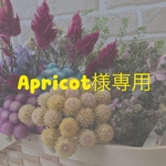 Apricot様専用ページ