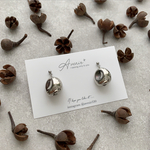 【188】silver chestnuts     .f