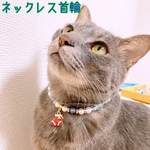 猫の首輪🐈クリスマス🎅🏻ネックレス首輪♡靴下チャーム⛄