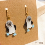 アオアシカツオドリのピアス⭐︎