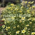 yuki05214649様専用ページ