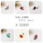 お楽しみ福袋　¥3,000