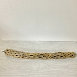 【tomoyasu1048様専用ページ】ゲージサイズでカクタスパーチ（サボテンの骨）HOEI465・直径3～4cm×44cm
