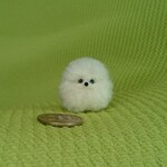 ちびちびポメラニアン ホワイト パピー 羊毛フェルト